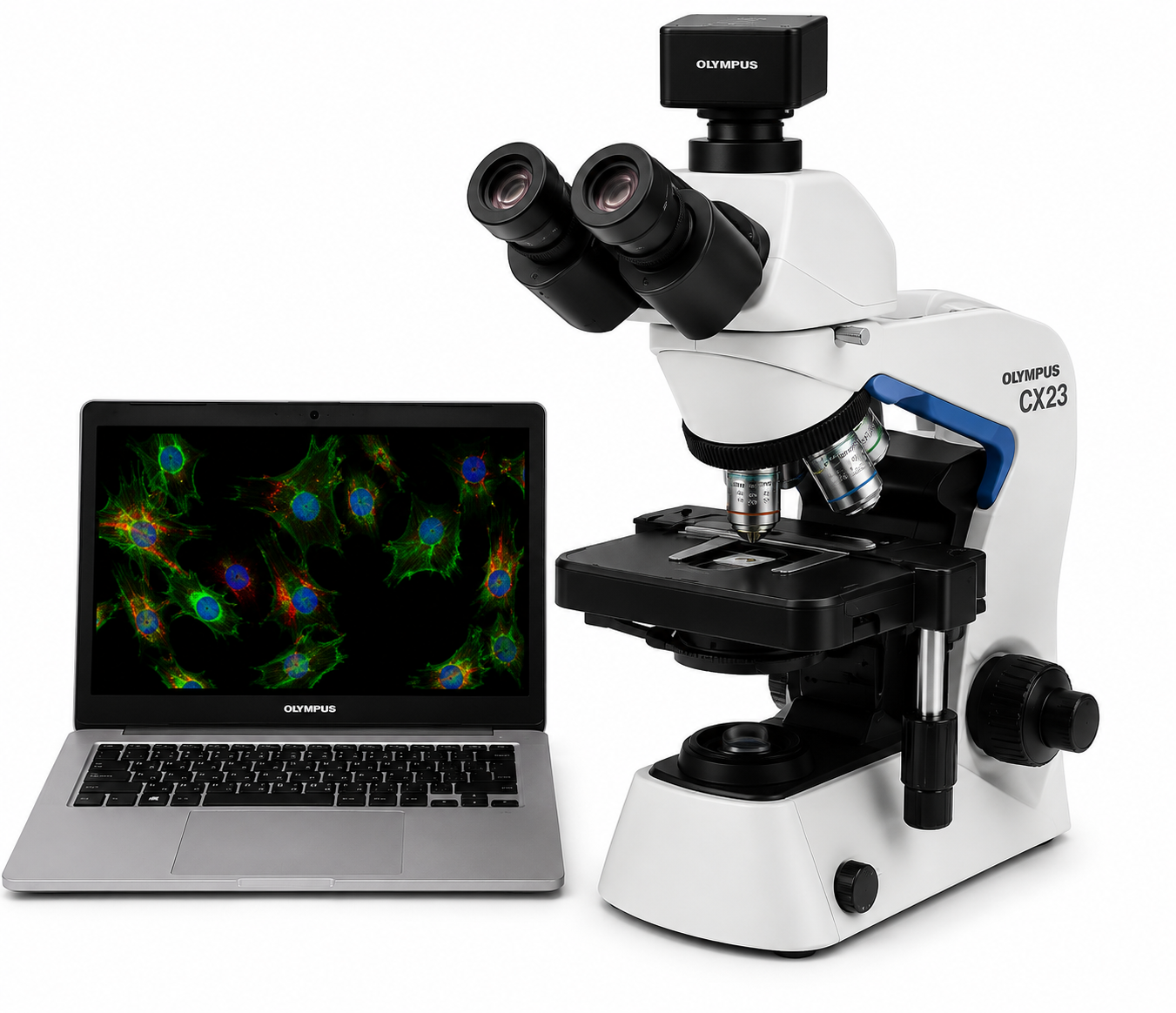 Flourescent microscope with camera+ Laptop
